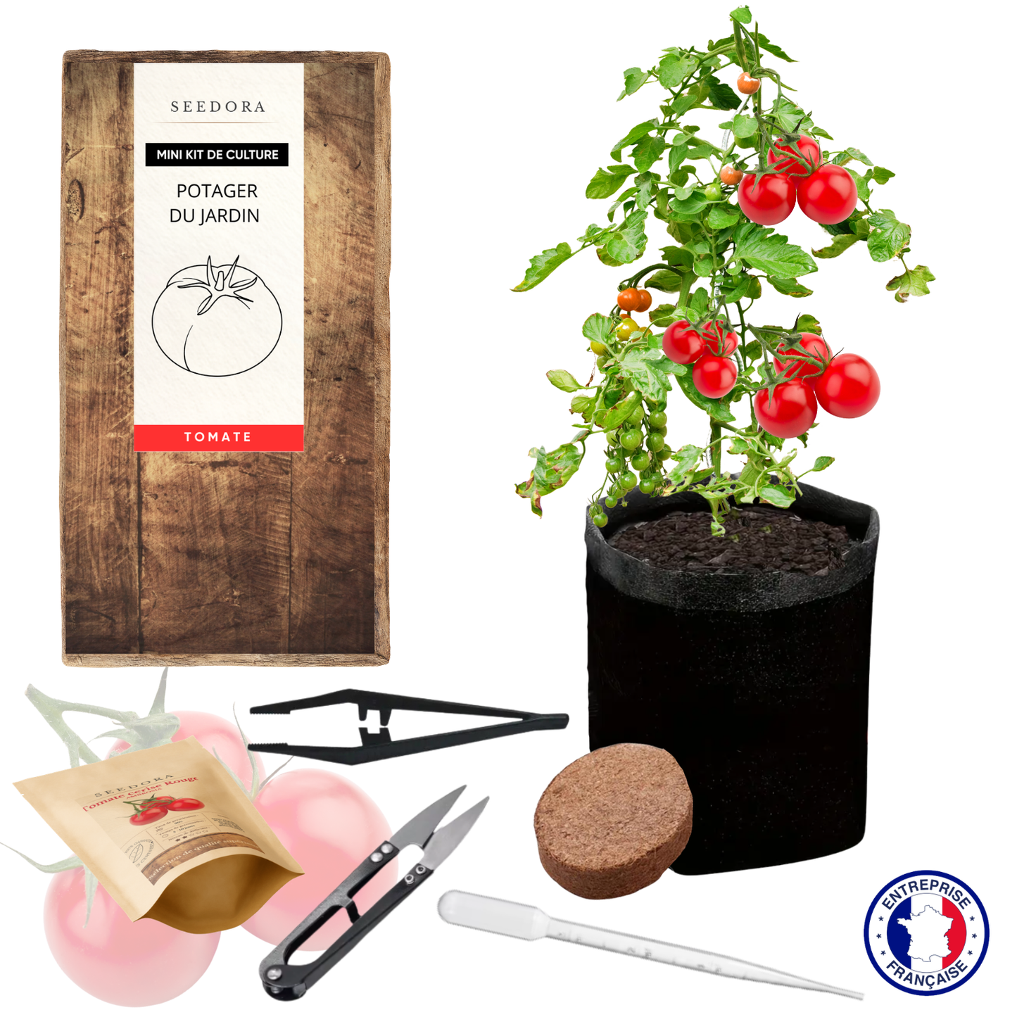 Mini Kit Tomates Cerises