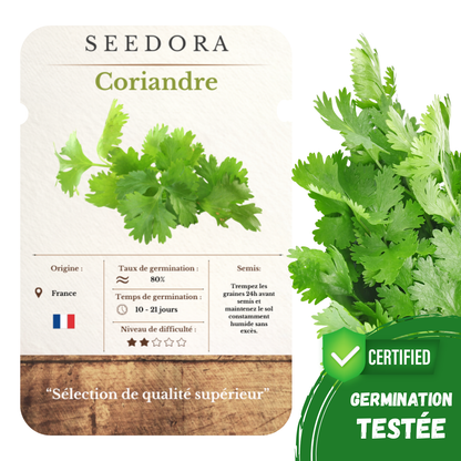 Graines de Coriandre
