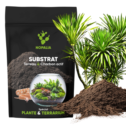 Terreau Premium au Charbon Actif