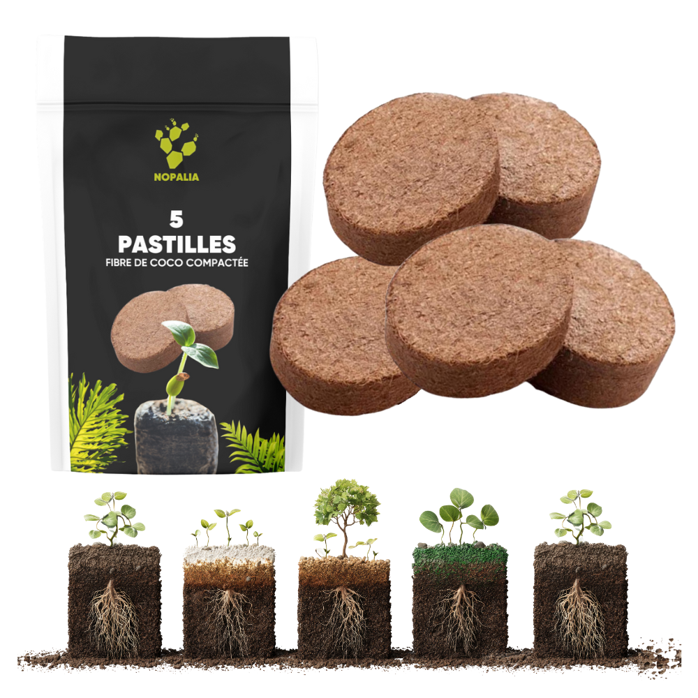 Kit 5 Tourbes de Culture — Pastilles Compressées pour Semis et Repiquage | Nopalia