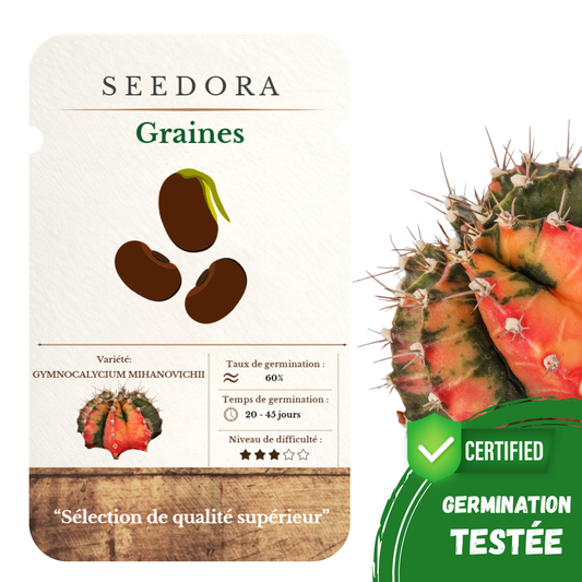 Graines de Gymnocalycium