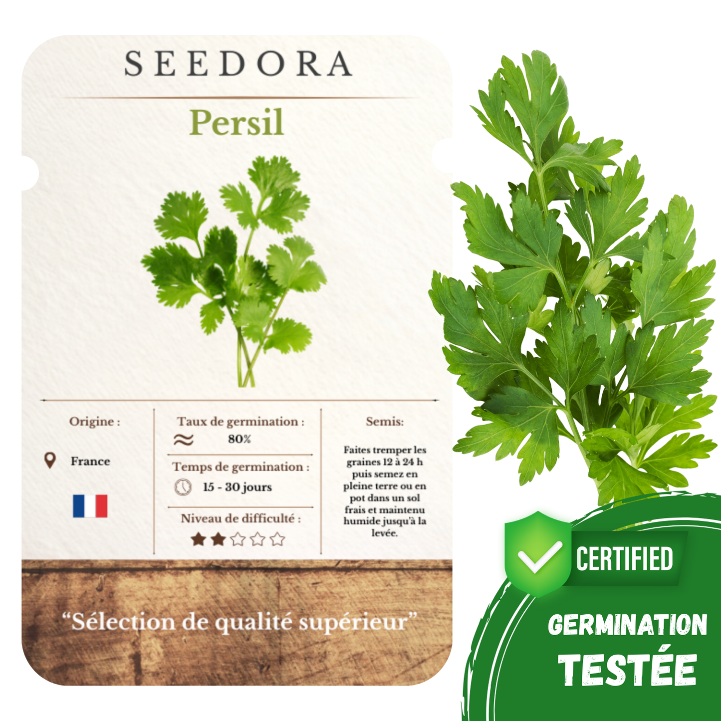 Graines de Persil