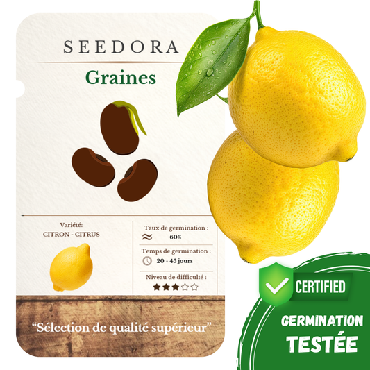 Graines de Citronnier