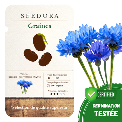 Graines de Bleuet des Champs