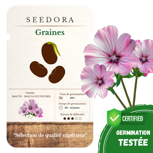 Graines de Mauve Sylvestre
