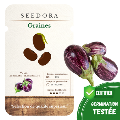 Graines d'Aubergine Black Beauty