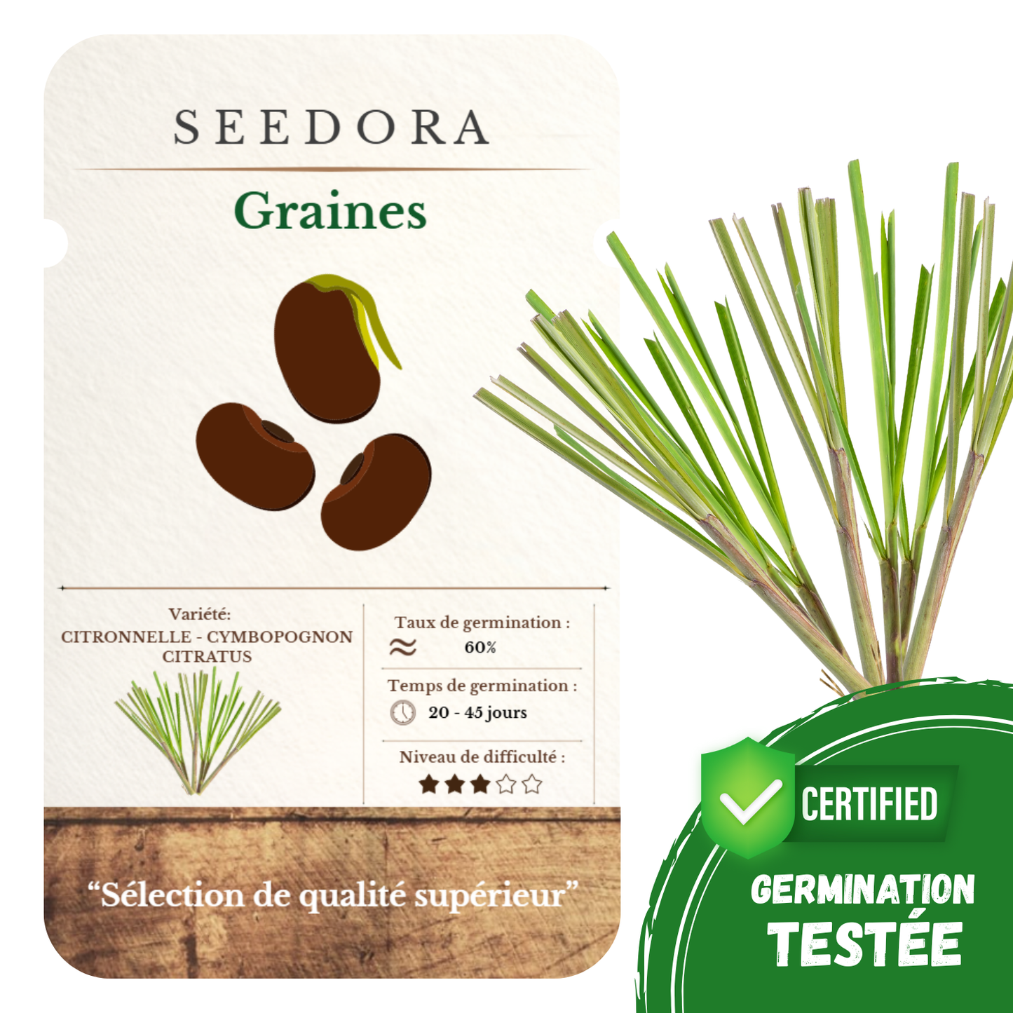 Graines de Citronnelle