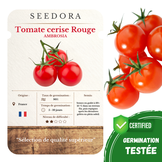 Graines de Tomate Cerise Ambrosia