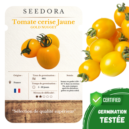 Graines de Tomate Cerise Gold Nugget