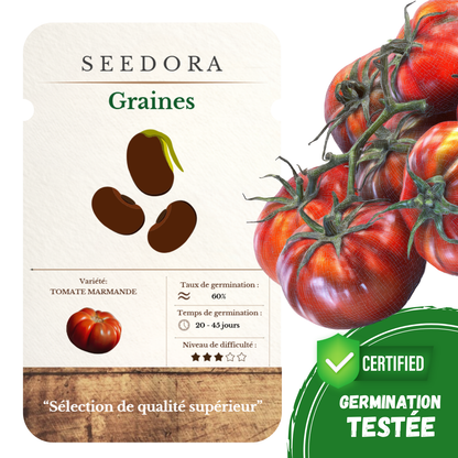 Graines de Tomate Marmande