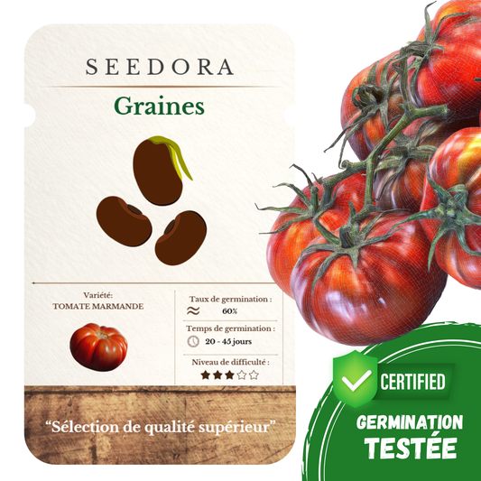 Graines de Tomate Marmande