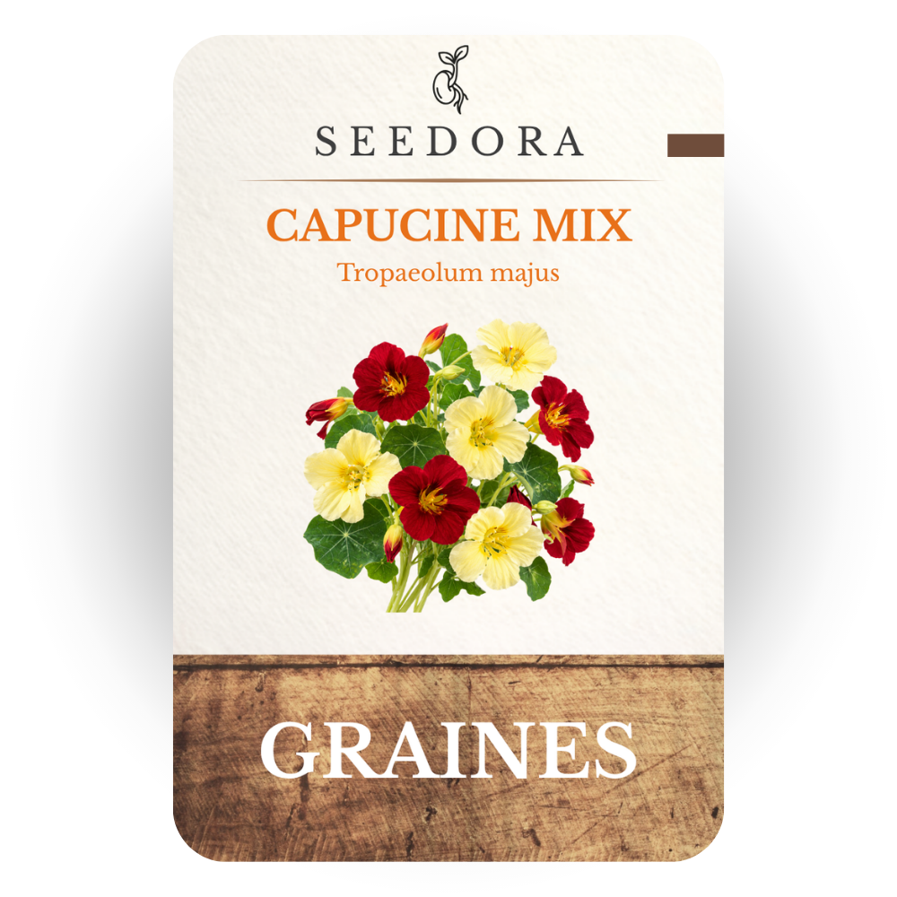 Graines de Capucine Mix (Tropaeolum majus) – Fleurs comestibles à semer