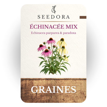 Graines d'Échinacée Mix (Echinacea purpurea & paradoxa) – Vivace mellifère à semer