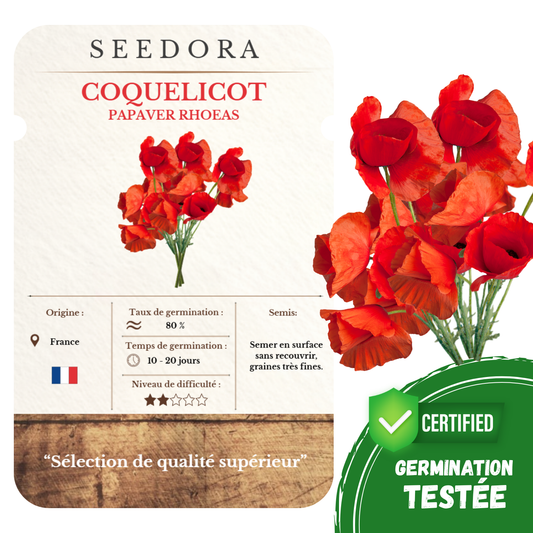 Graines de Coquelicot