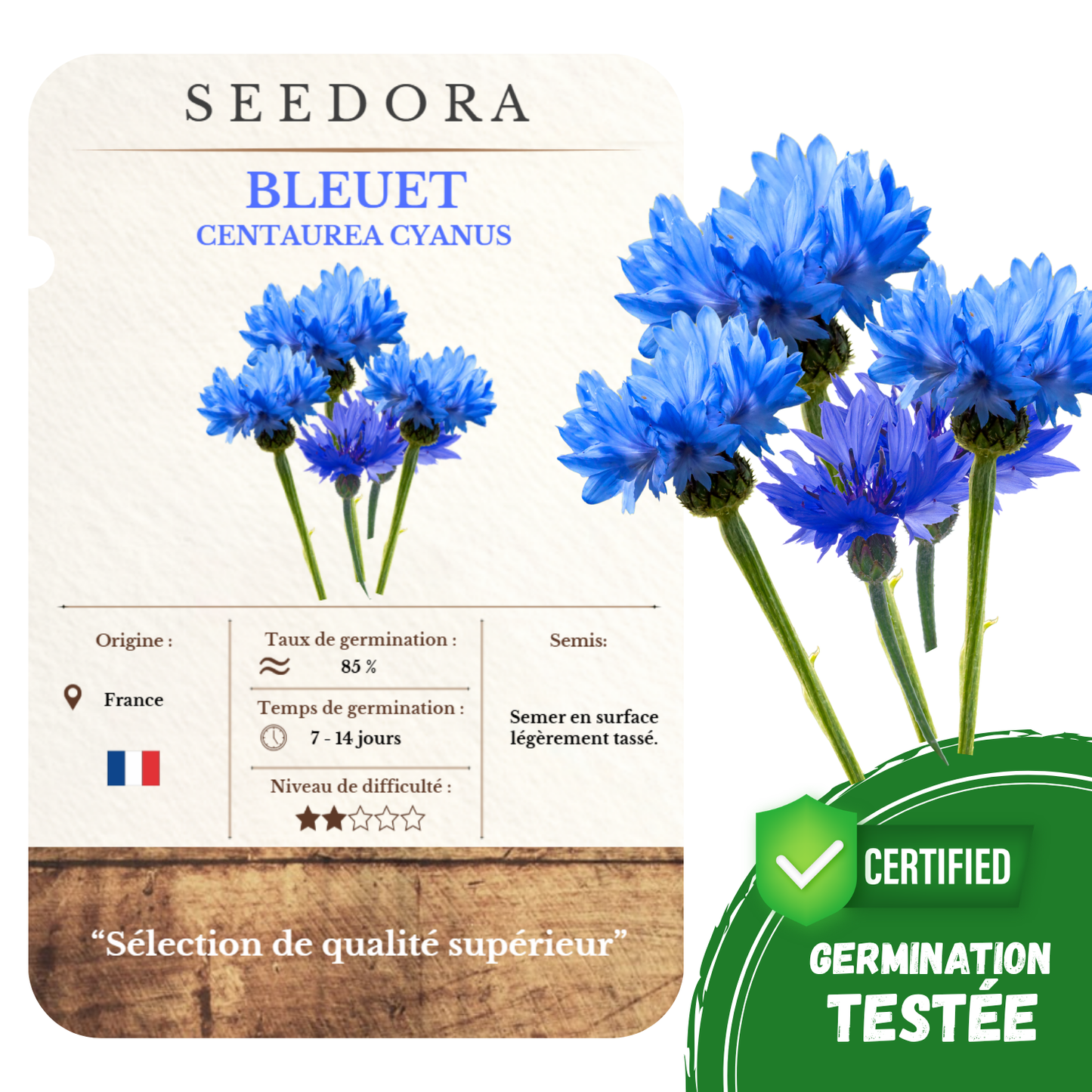 Graines de Bleuet des Champs