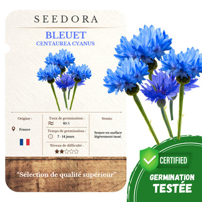 Graines de Bleuet des Champs