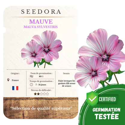 Graines de Mauve Sylvestre