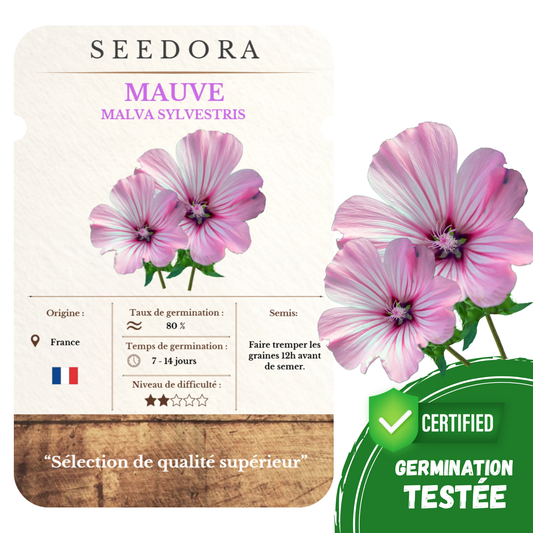 Graines de Mauve Sylvestre