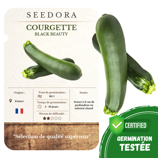 Graines de Courgette Verte