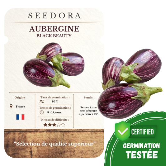 Graines d'Aubergine Black Beauty