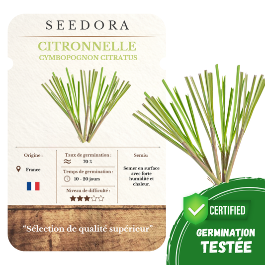 Graines de Citronnelle