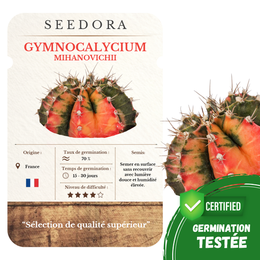 Graines de Gymnocalycium