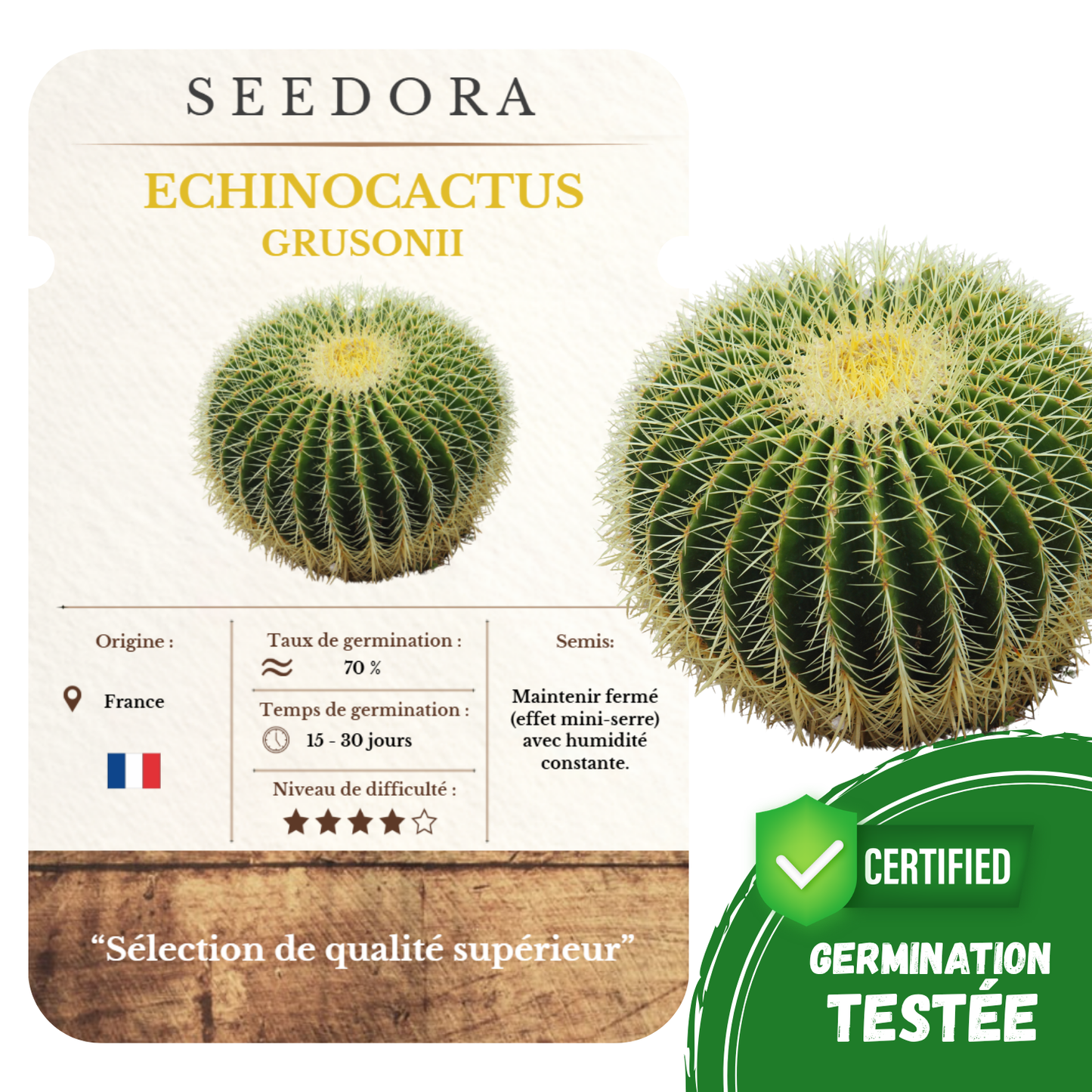 Graines d'Echinocactus Grusonii