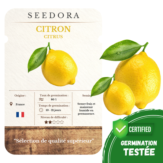 Graines de Citronnier