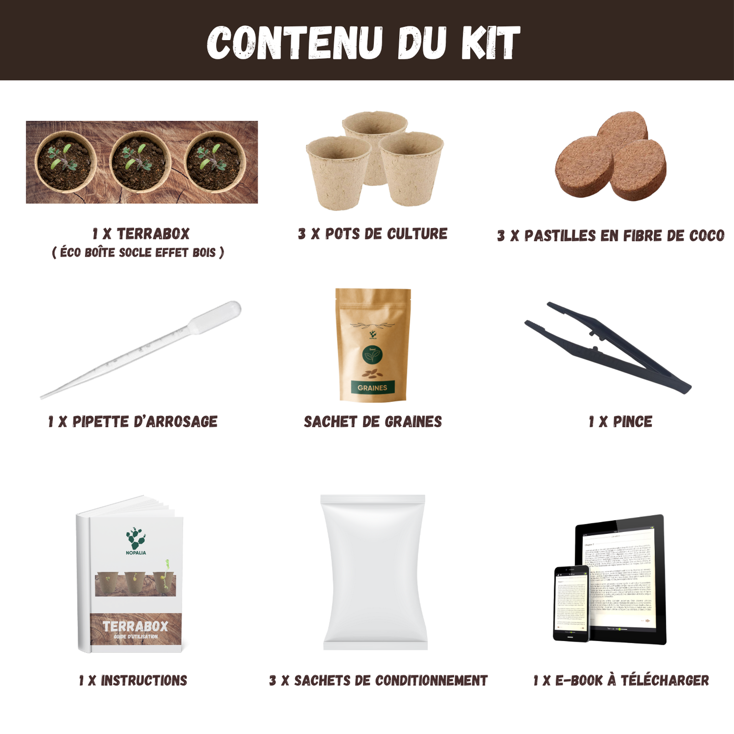 Kit Dionée Attrape-Mouche Plante Carnivore à Faire Pousser – Nopalia