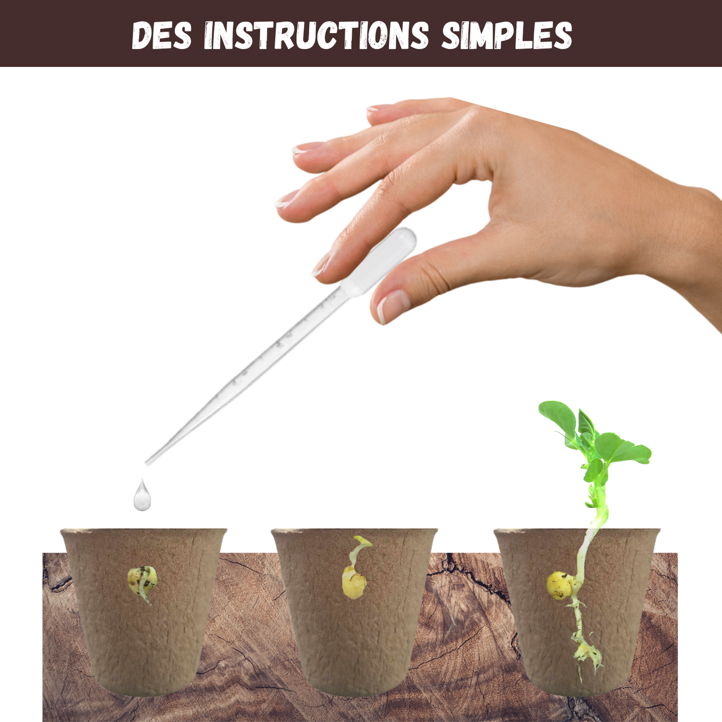 Kit Dionée Attrape-Mouche Plante Carnivore à Faire Pousser – Nopalia