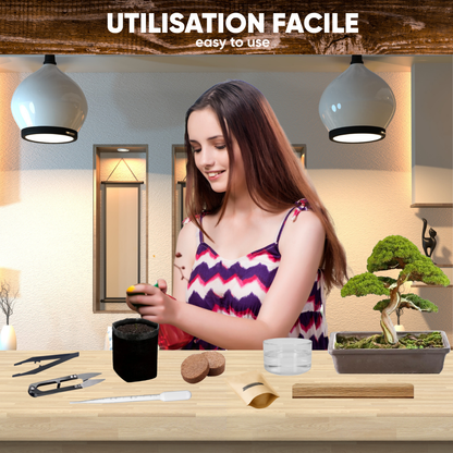 Mini Kit Bonsaï Glycine (Wistéria) — Kit Complet de Culture | Seedora