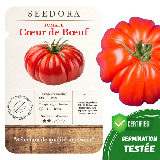 Graines de Tomate Cœur de Bœuf