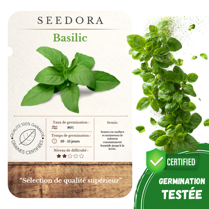 Graines de Basilic Grand Vert