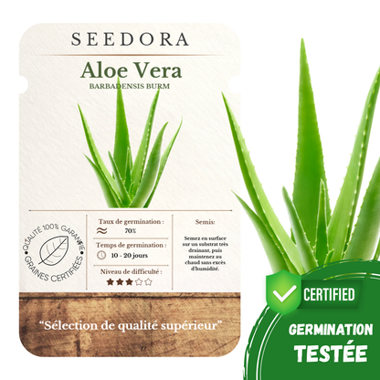 Graines d'Aloe Vera