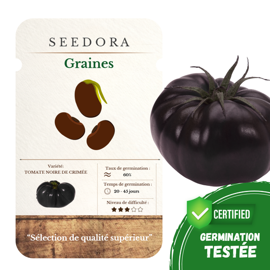 Graines de Tomate Noire de Crimée