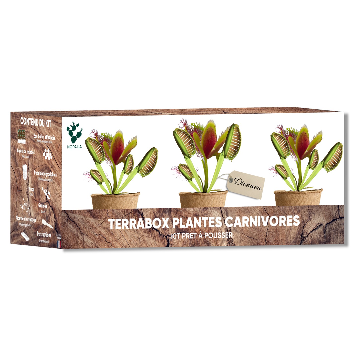 Kit Dionée Attrape-Mouche Plante Carnivore à Faire Pousser – Nopalia
