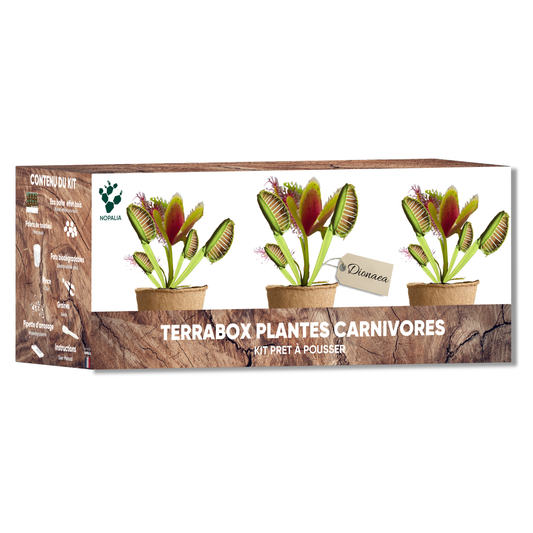 Kit Dionée Attrape-Mouche Plante Carnivore à Faire Pousser – Nopalia