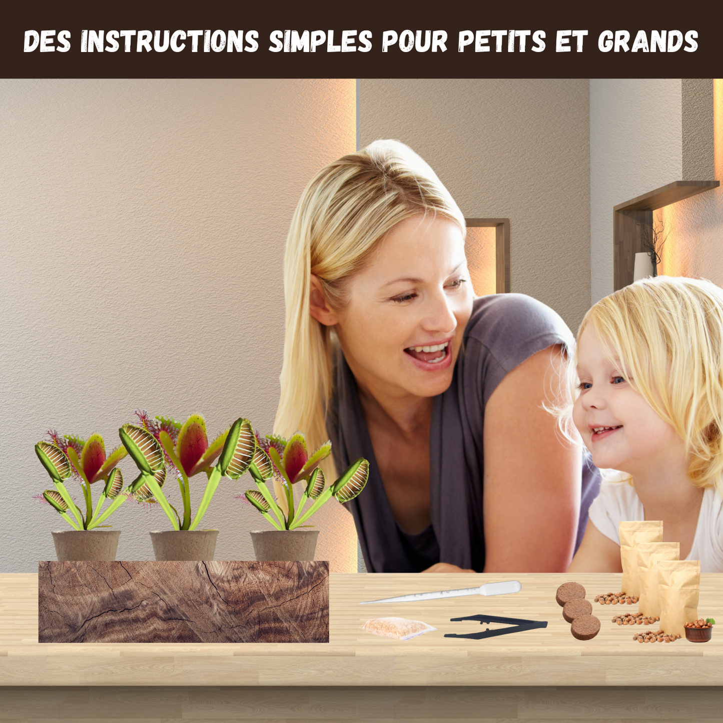 Kit Dionée Attrape-Mouche Plante Carnivore à Faire Pousser – Nopalia