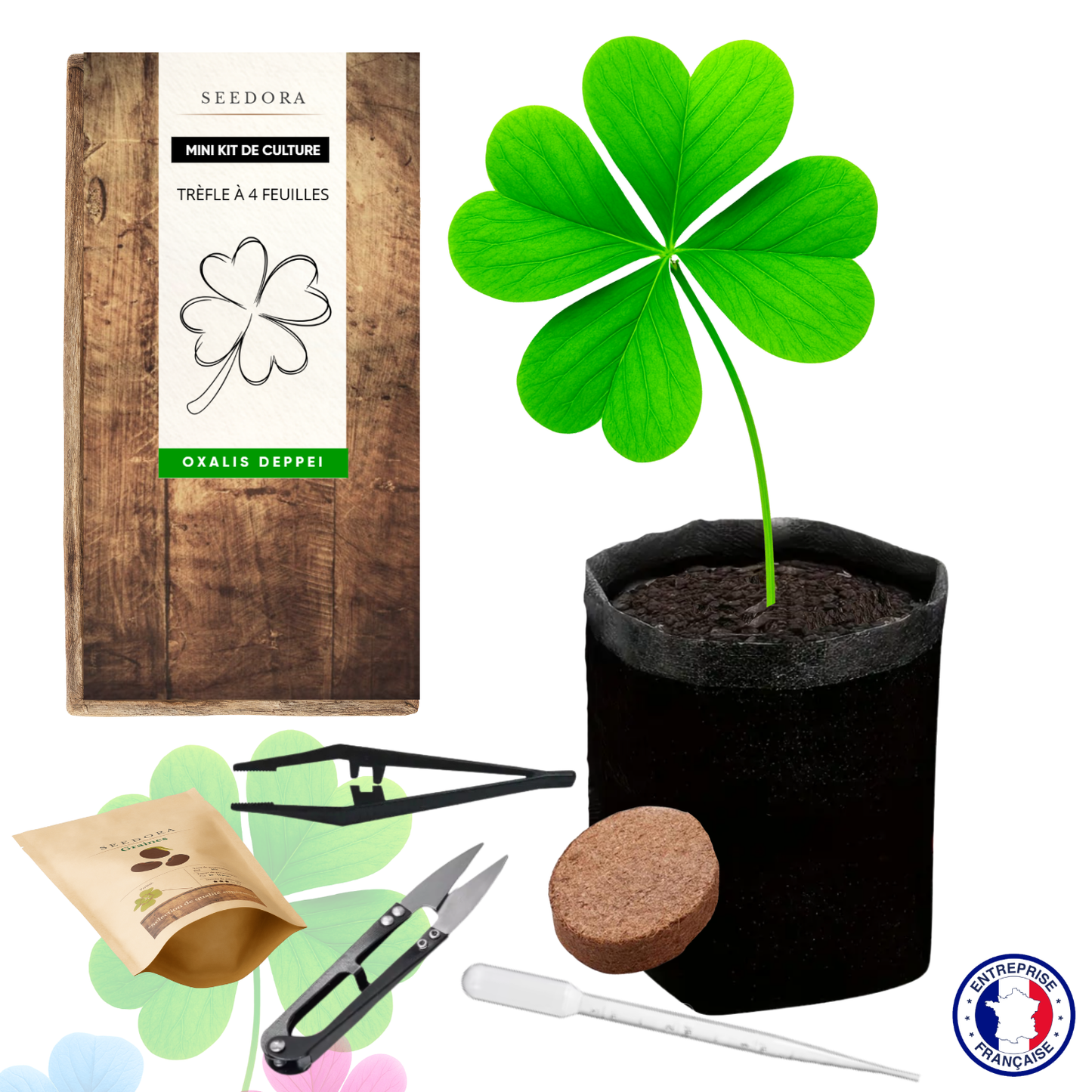 Mini Kit Trèfle à 4 Feuilles