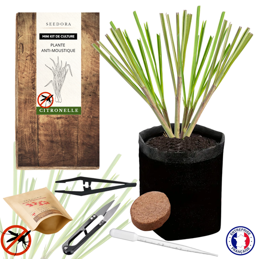 Mini Kit Anti-Moustique