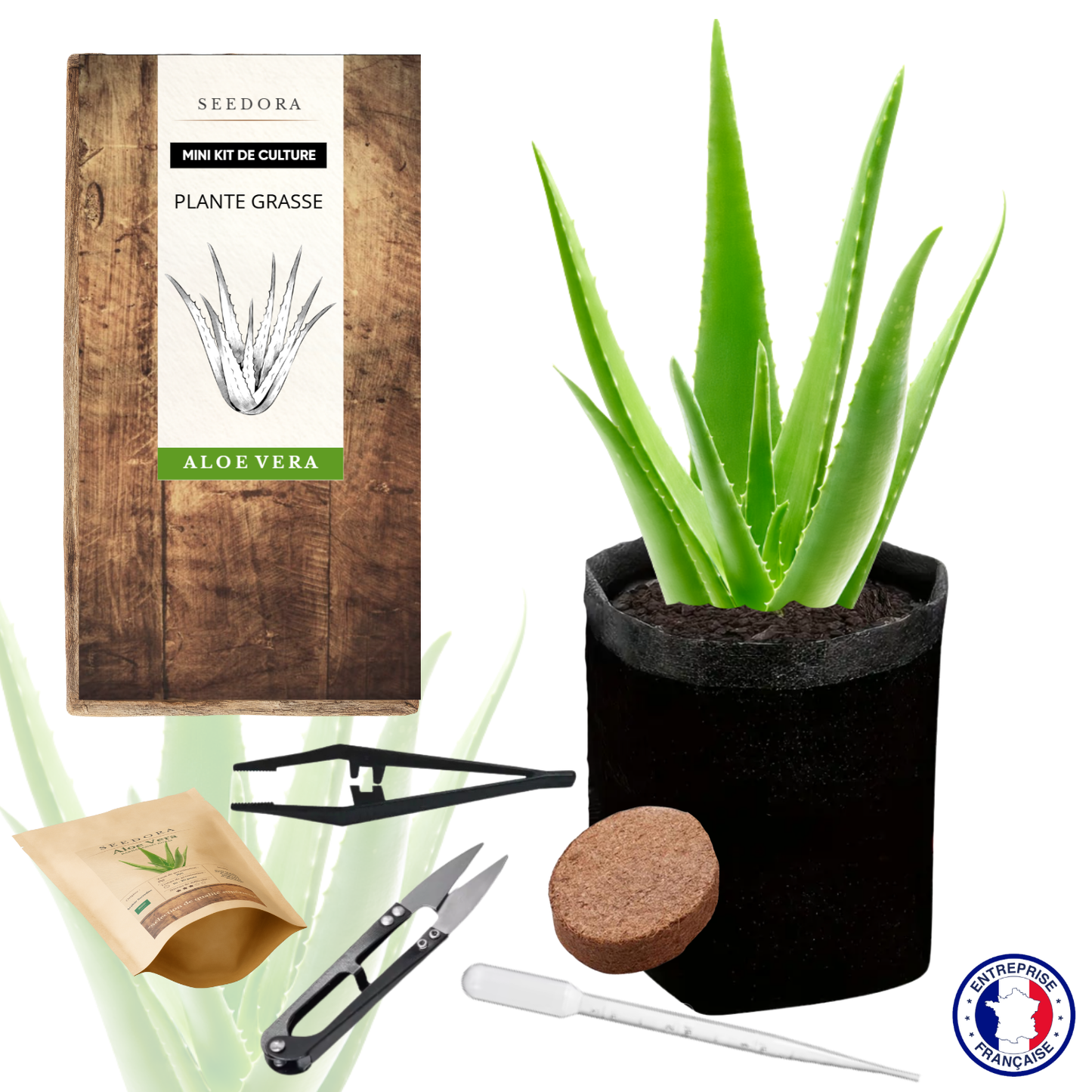Mini Kit Aloe Vera